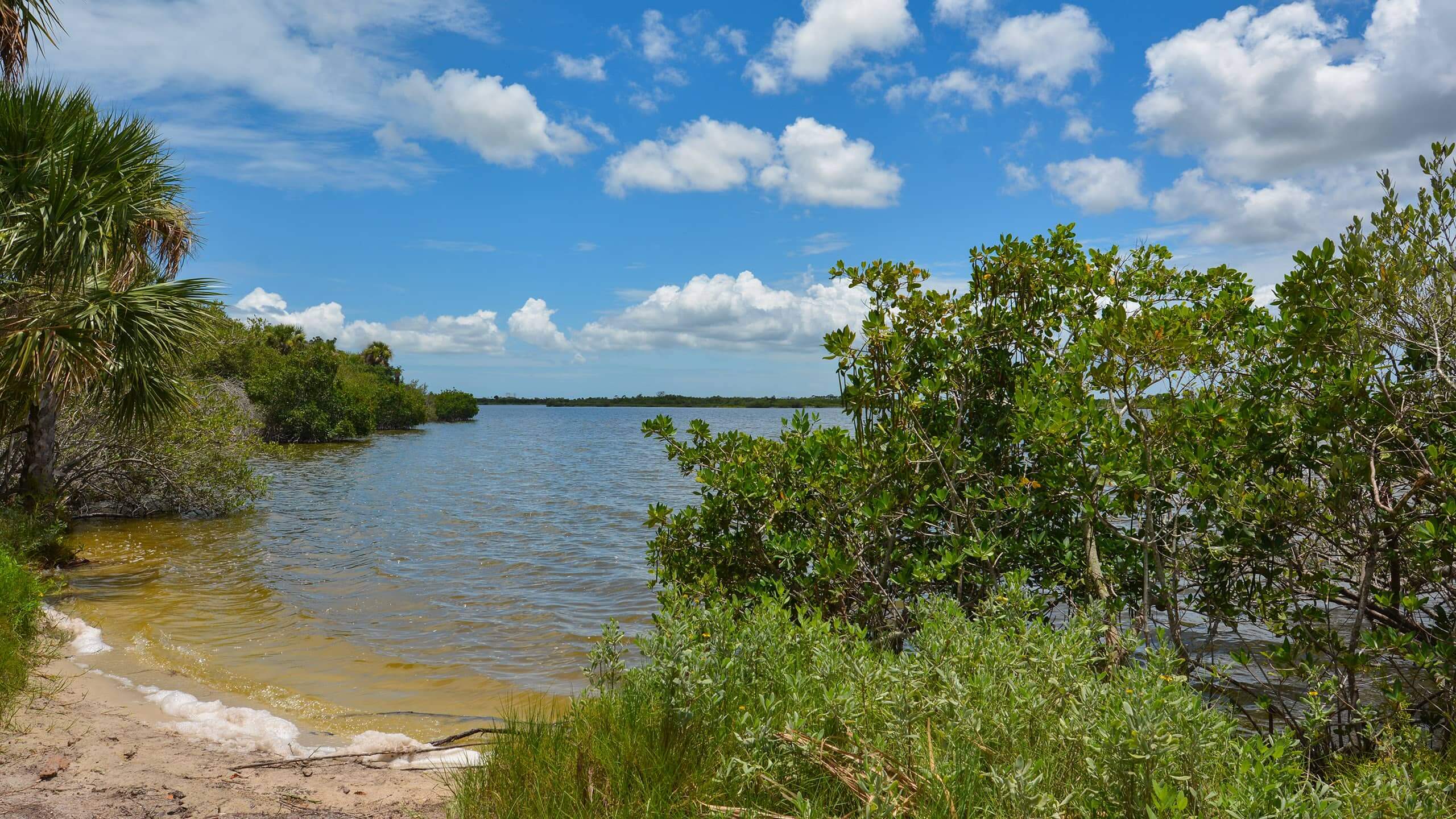 Merritt Island National Wildlife Refuge view