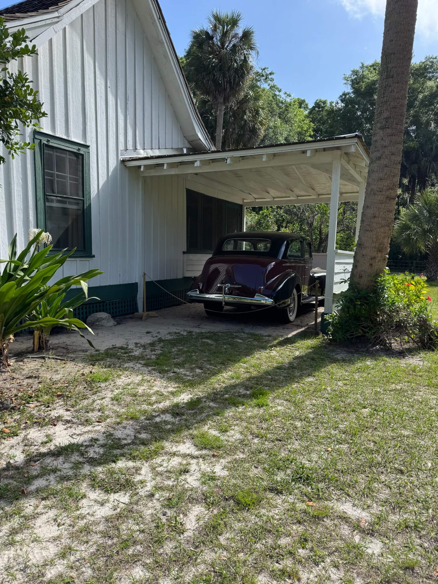 Image 12