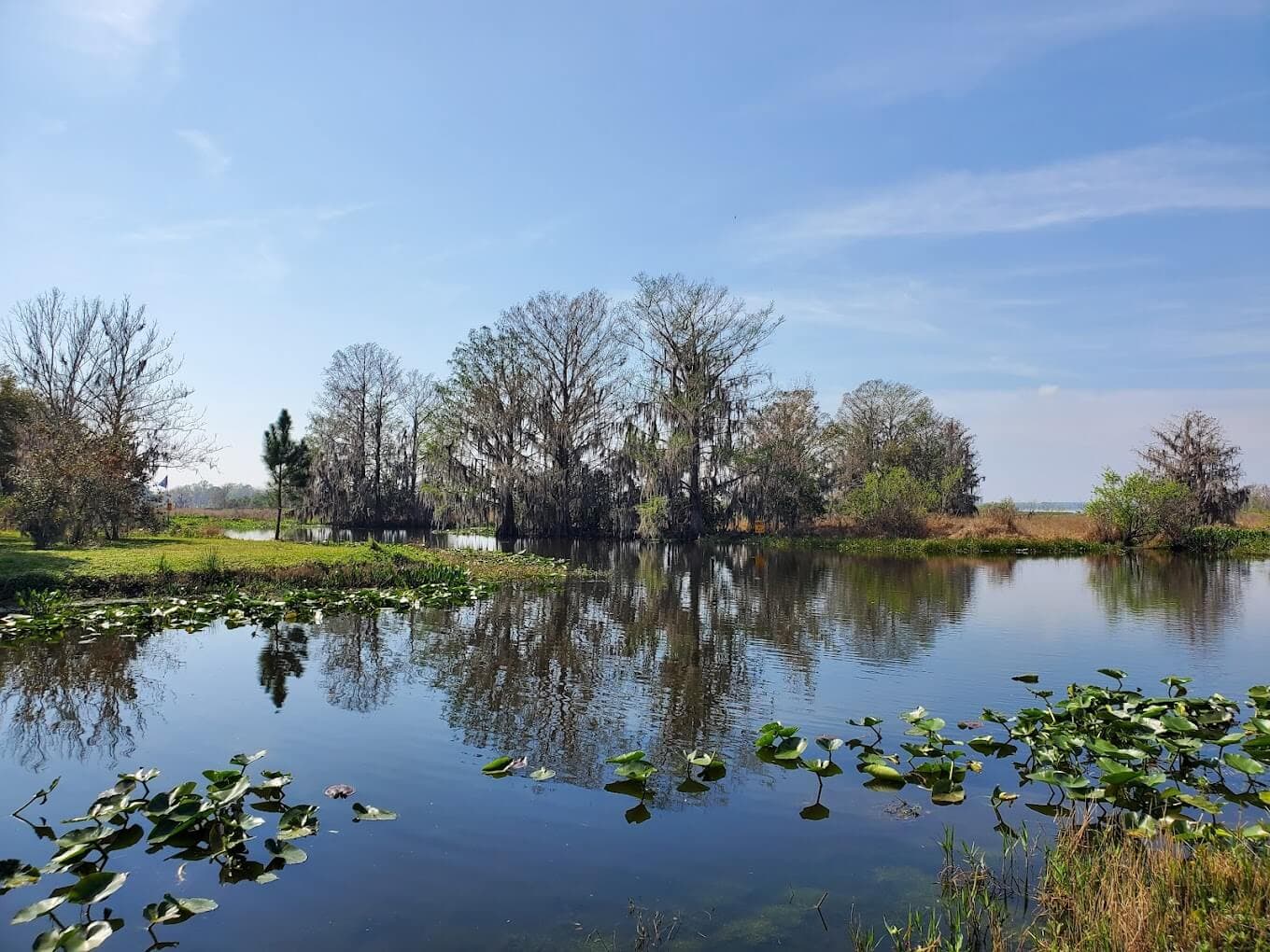 Cross Creek and Micanopy view
