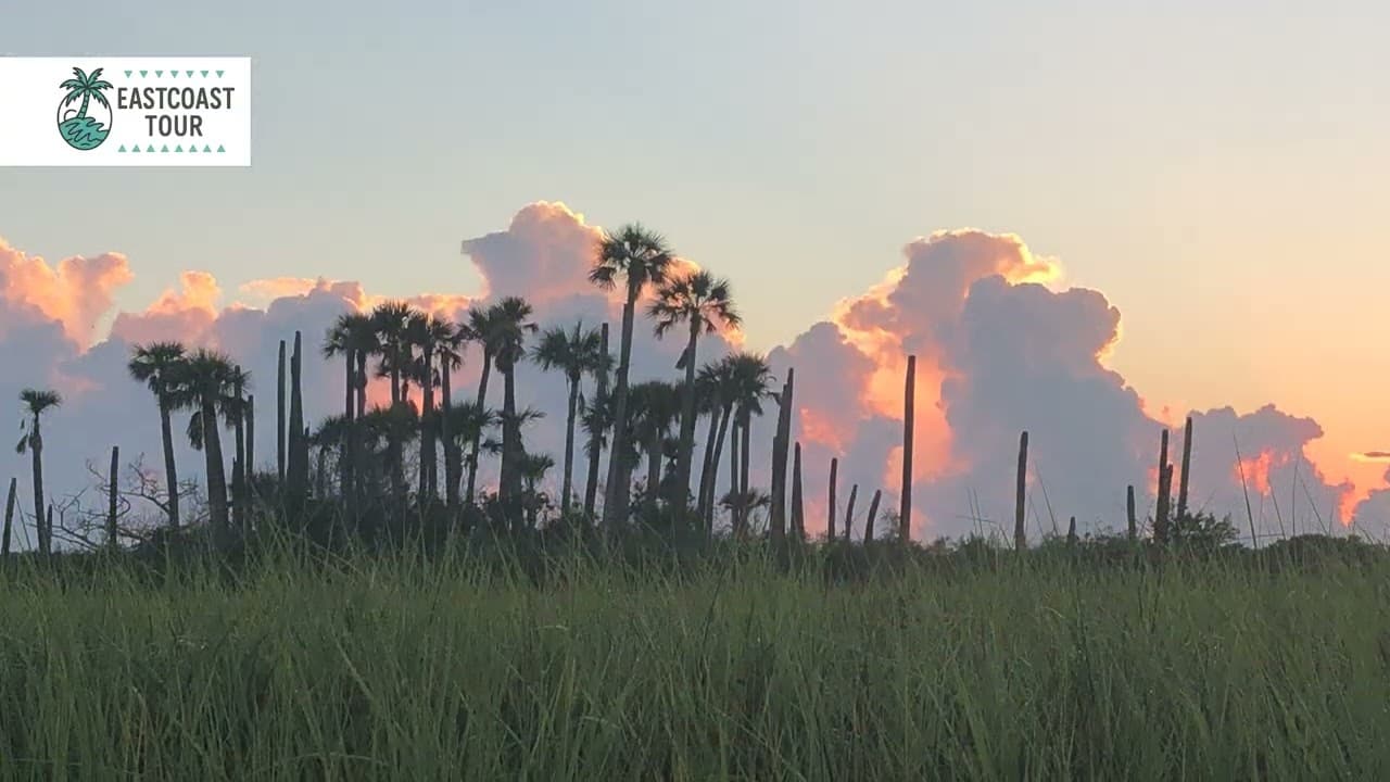 Thumbnail for East Coast Tour Video Showcase
