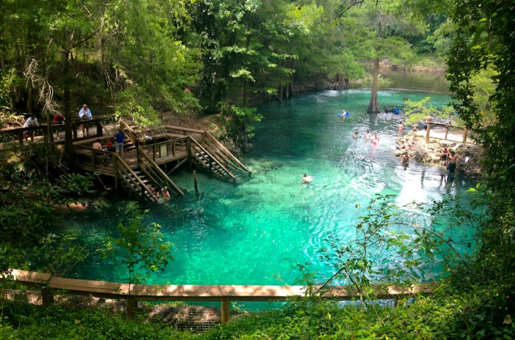 Crystal clear waters of Blue Spring State Park